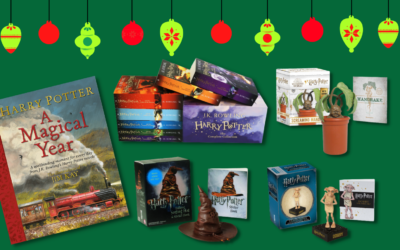 Harry Potter Gifts for Family Fans and Zealous Stans