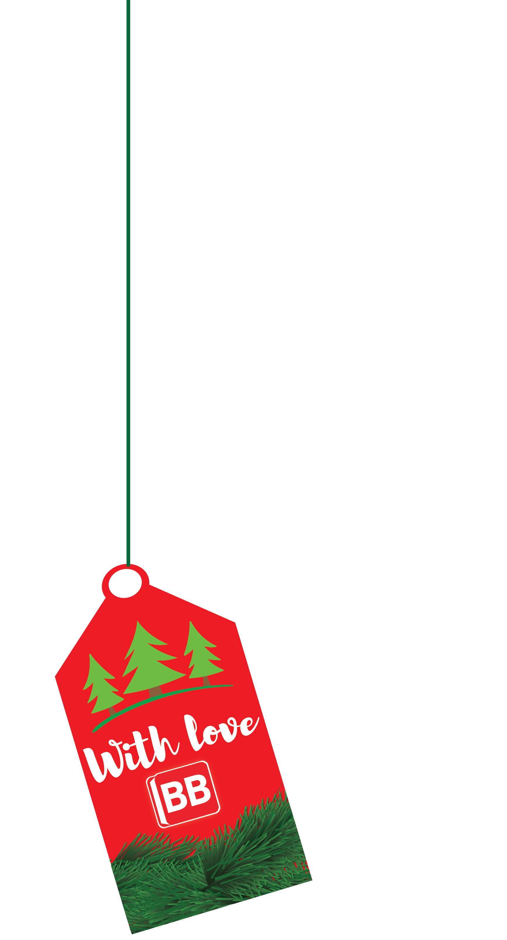 BB CHRISTMAS_ ELEMENTS (1)